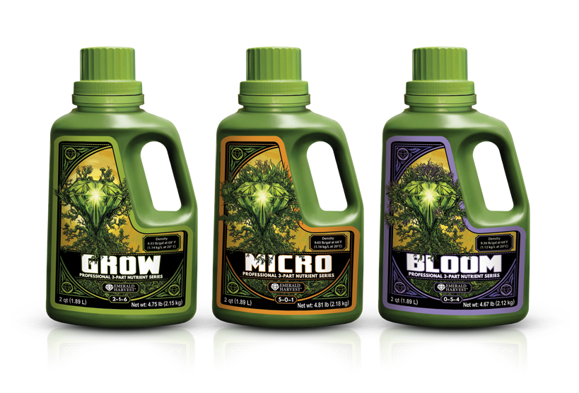 Emerald Harvest Bloom, 1 qt