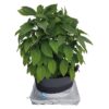 AUTOPOT AUTOSKIRT KIT W/ 2X2 TRAY AND 9GAL FLEXI POT
