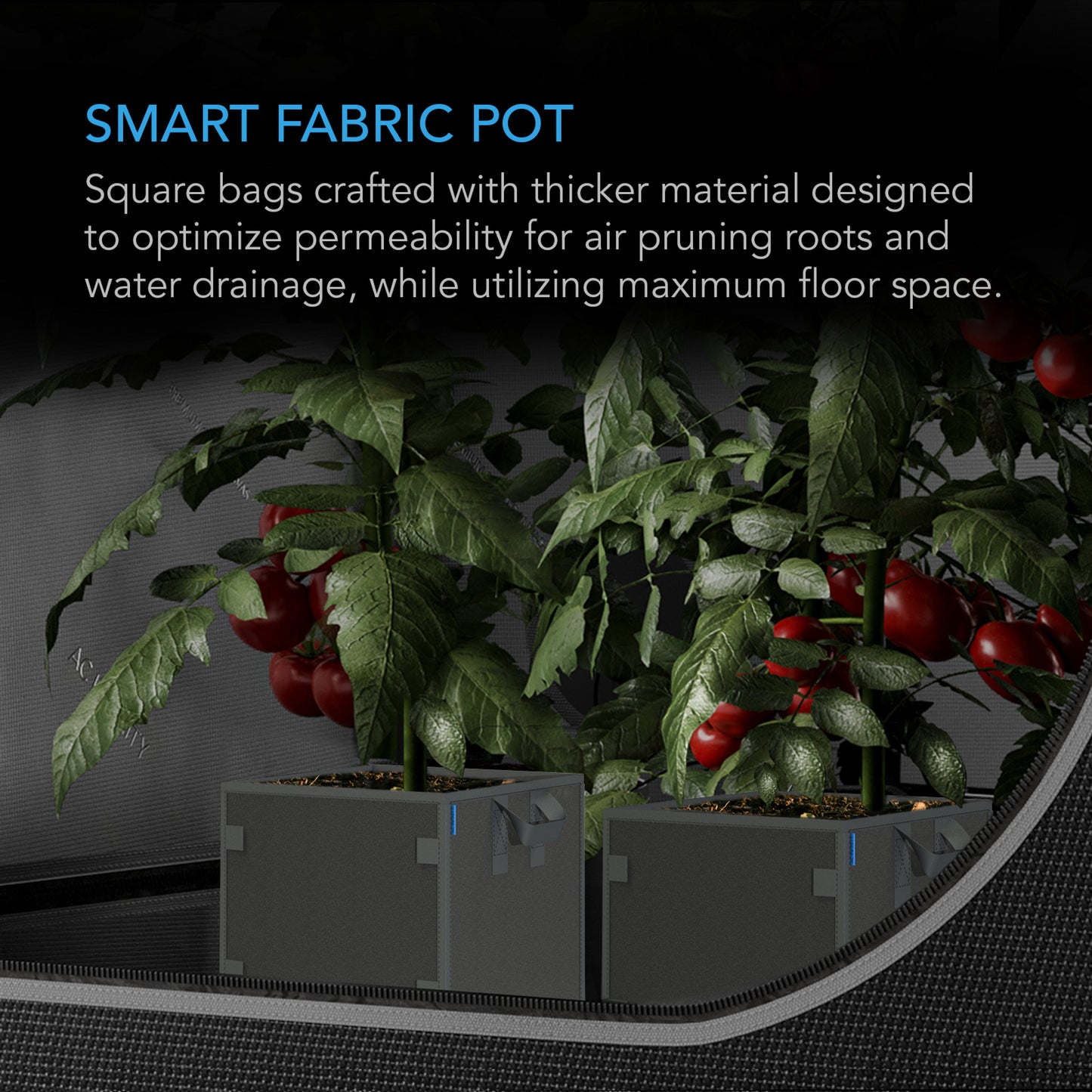 AC INFINITY HEAVY DUTY FABRIC POTS, 3 GALLON