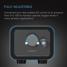 Ac Infinity HYDROPONICS AIR PUMP, TWO-OUTLET PUMPING KIT, 45 GPH (2.8 L/M)