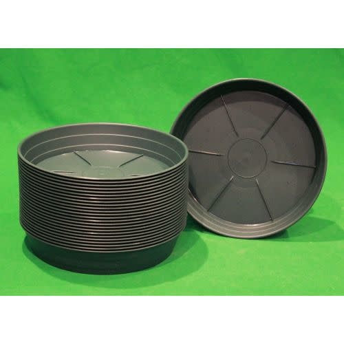 Green Premium Saucer 8 inch