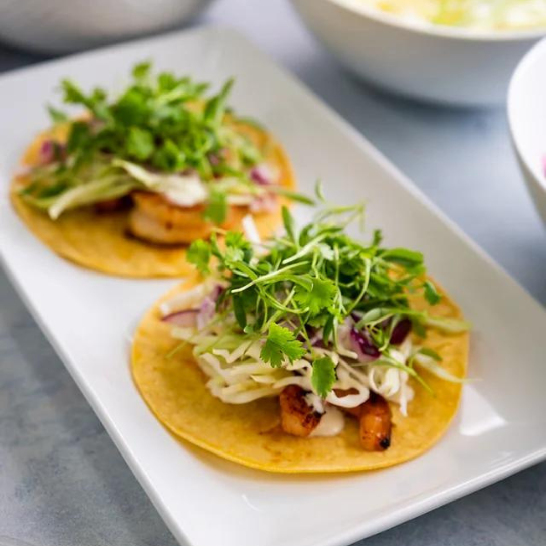 Cilantro Microgreens