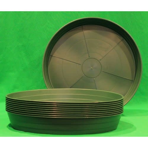 Green Premium Saucer, 12"