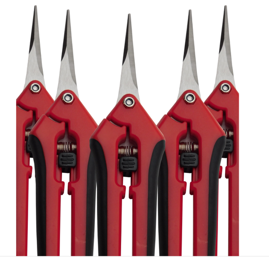 Great Lakes Scissors Straight (RED) Shears